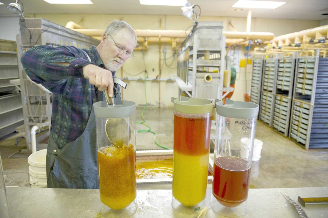 Sunny days ahead DNR to add solar power at fish hatcheries News